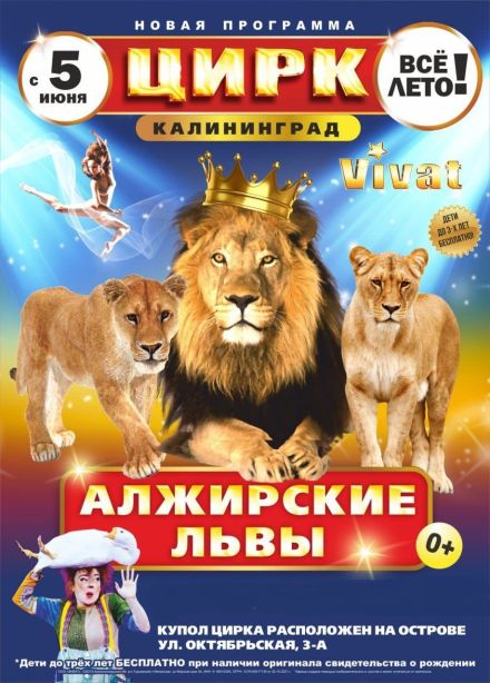 Цирк «VIVAT»