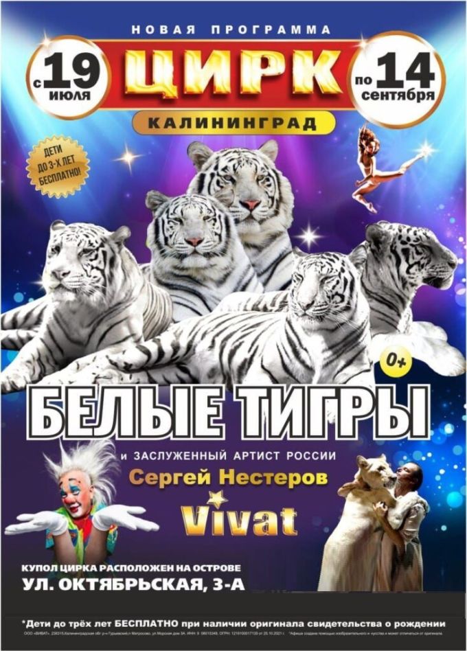 Цирк «VIVAT»