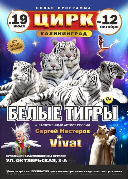 Цирк «VIVAT»