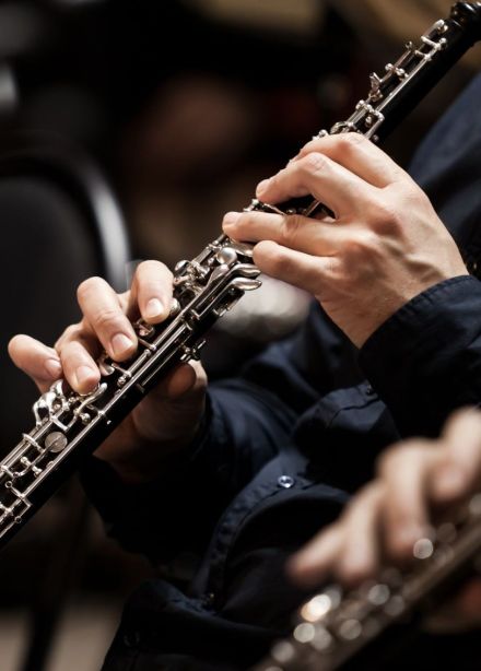 Концерт «Король забавляется»