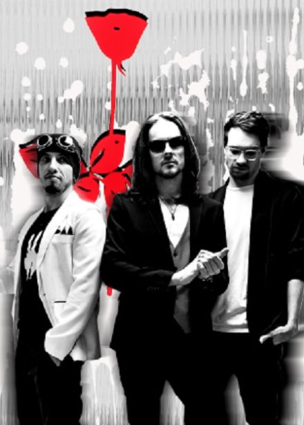 Depeche Boat, Светлогорск