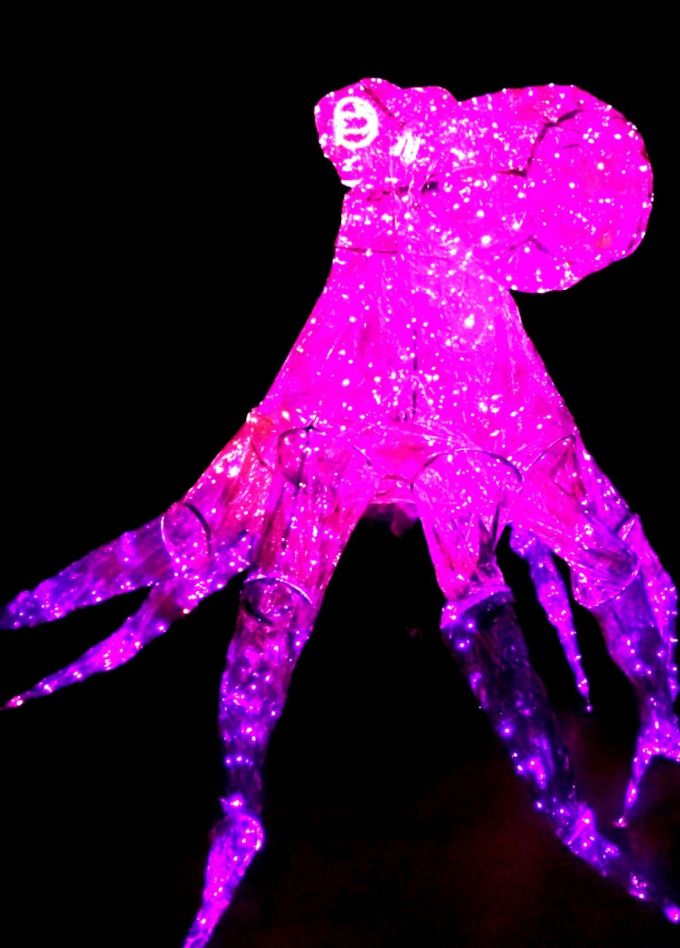 Шоу «Представление световых кукол с гигантским осьминогом»