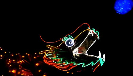 Шоу «Представление световых кукол с гигантским осьминогом»