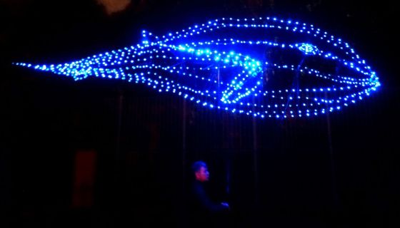 Шоу «Представление световых кукол с гигантским осьминогом»