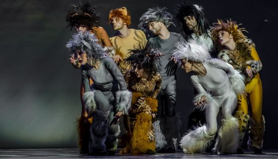 Шоу «12 мюзиклов», Светлогорск