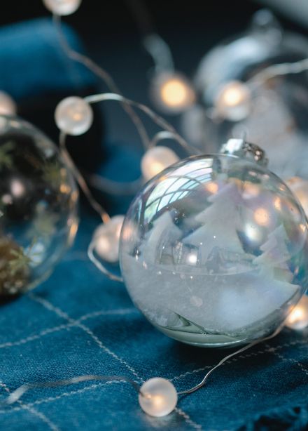 В поисках Деда Мороза