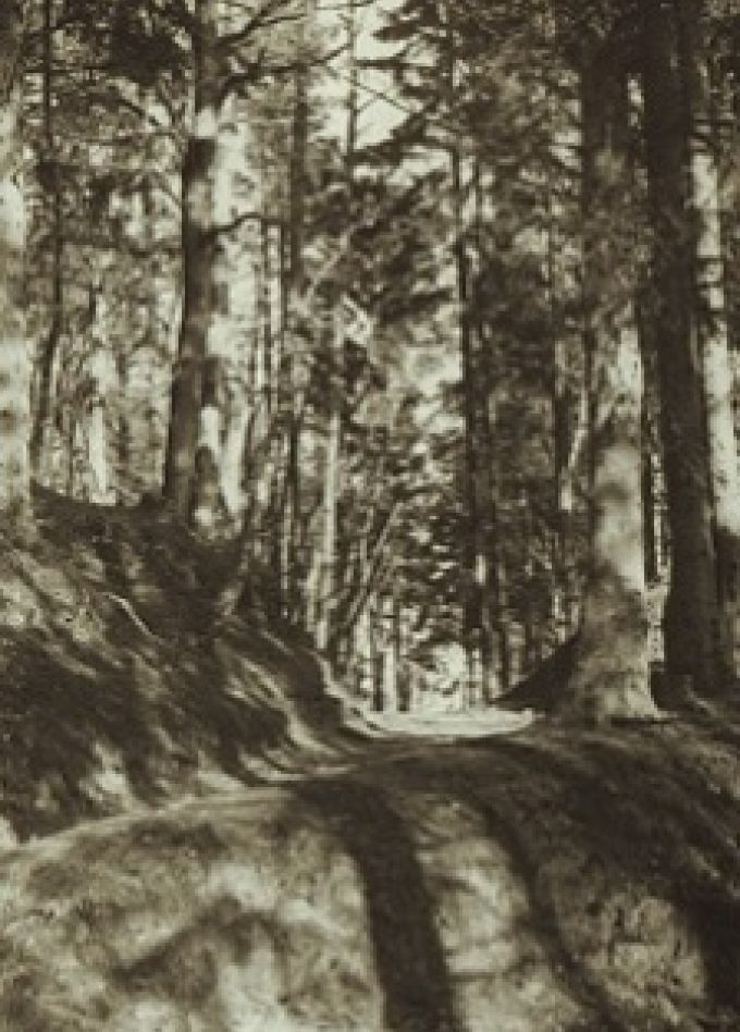 Фотохудожник Мия Брахерт