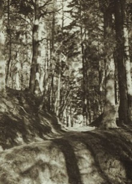 Фотохудожник Мия Брахерт