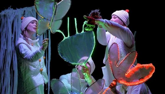 Спектакль «Северное сияние»