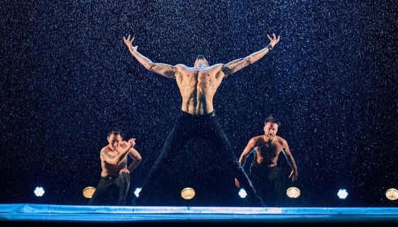 Шоу под дождём VII. И где, …, счастье?, Светлогорск