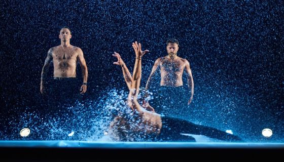 Шоу под дождём VII. И где, …, счастье?, Светлогорск