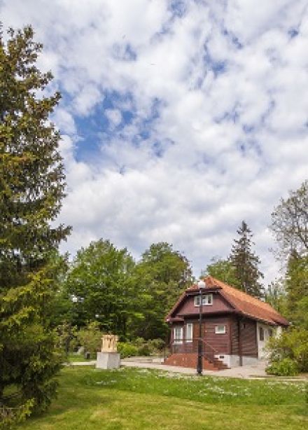 Жизнь – творчество. Экспозиция музея Германа Брахерта