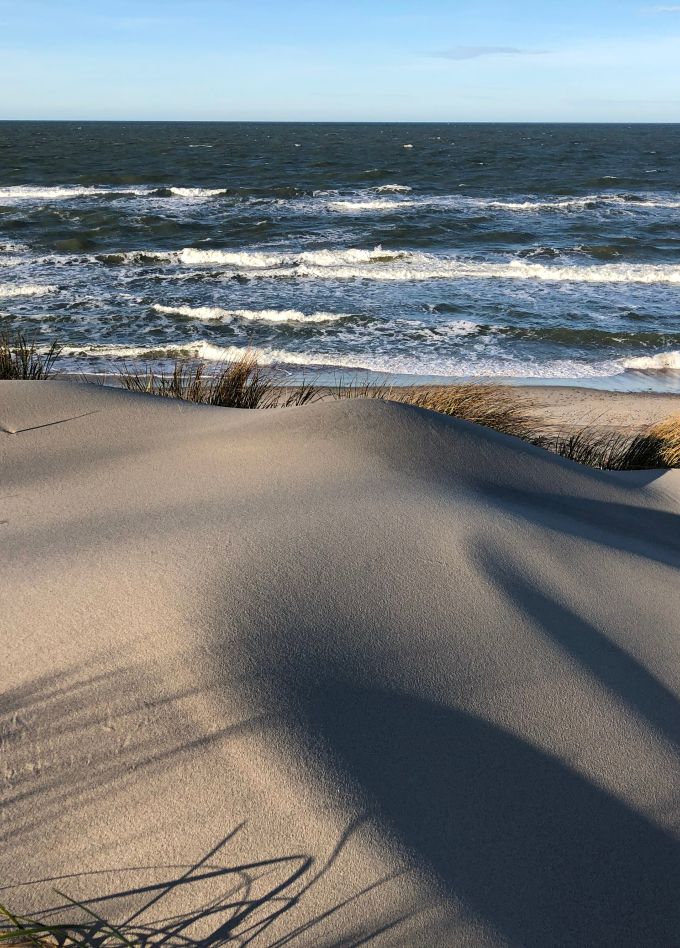 Куршская коса, Танцующий лес и г. Зеленоградск