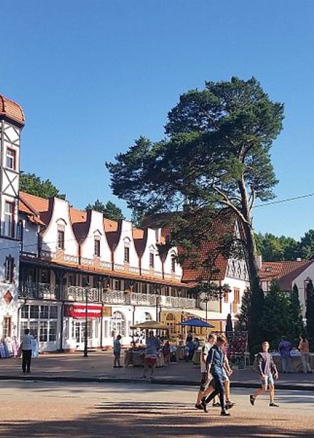 Светлогорск и Зеленоградск за один день