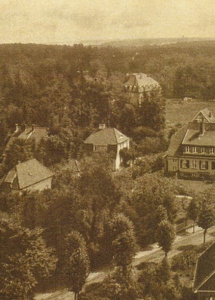 Виртуальная прогулка по курорту Георгенсвальде (Отрадное)