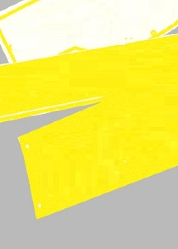 Калининградские улицы: тайны известных фамилий. Цикл лекций Алексея Святенького