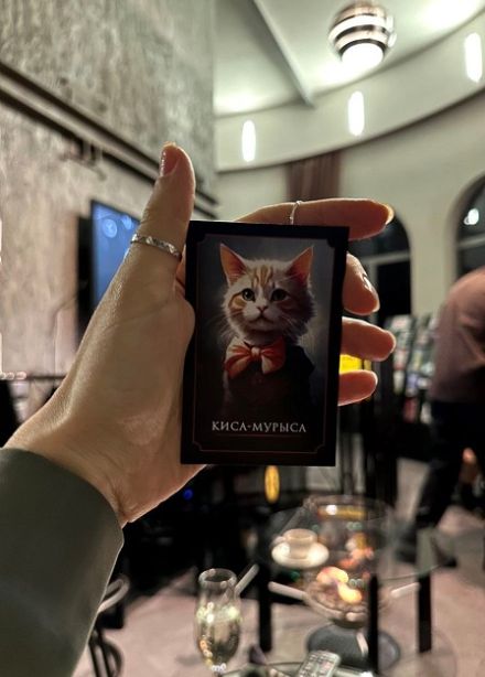 Котомафия на Башне