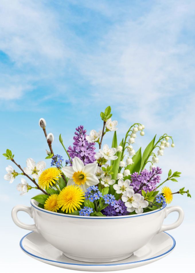 Концерт группы К.Т.Б