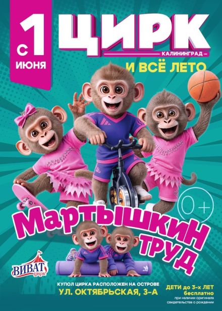 Цирк-шапито «Виват»