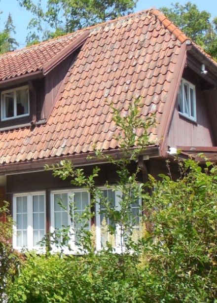 В потоке времени