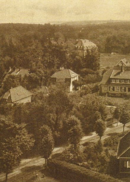 Архитектурная летопись курорта Отрадное. Тематическая программа