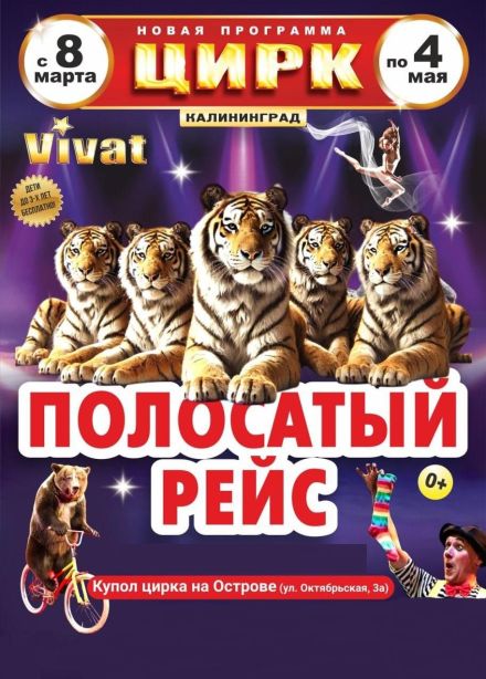 Цирк «VIVAT»